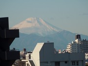 新年のご挨拶