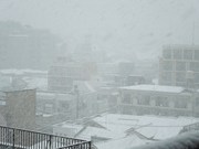 大雪の「成人の日｣