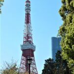 五月晴れ