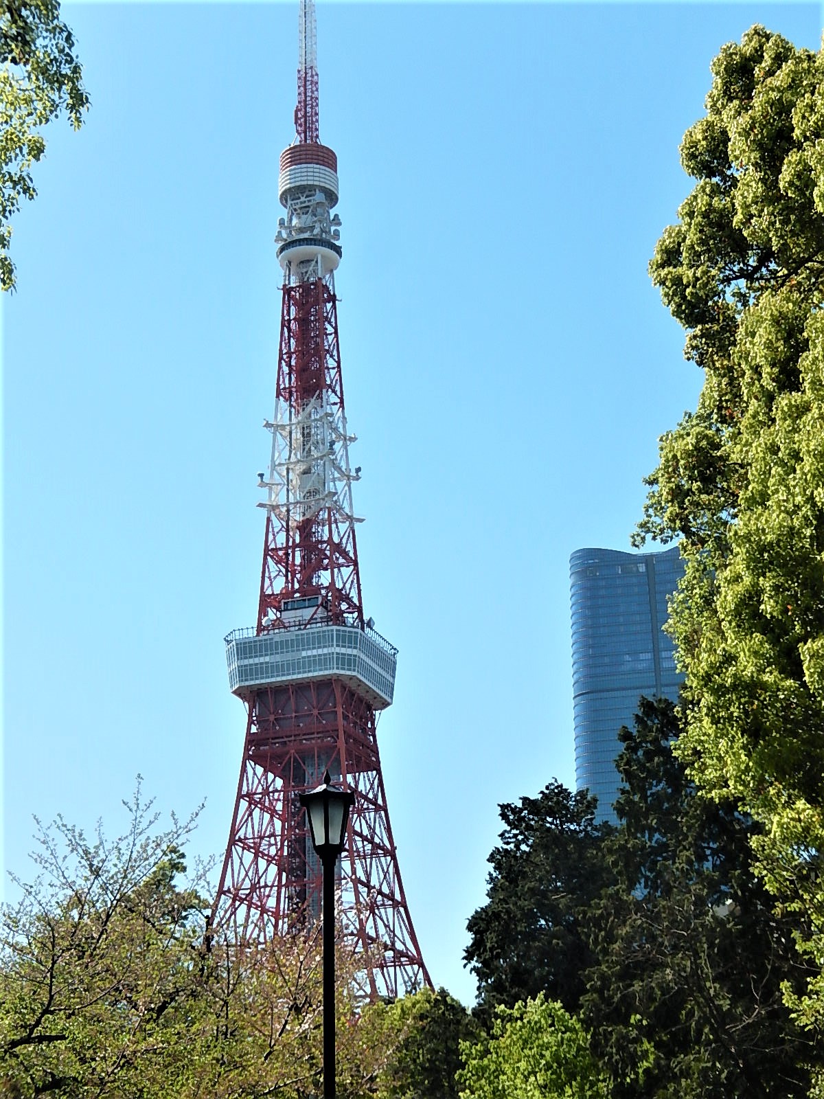 五月晴れ