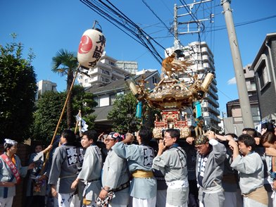 わっしょい！わっしょい！