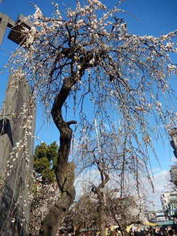 建築のあれこれ「将来を考えての家づくり（１）」