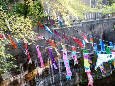 風に揺れる「鯉のぼり」