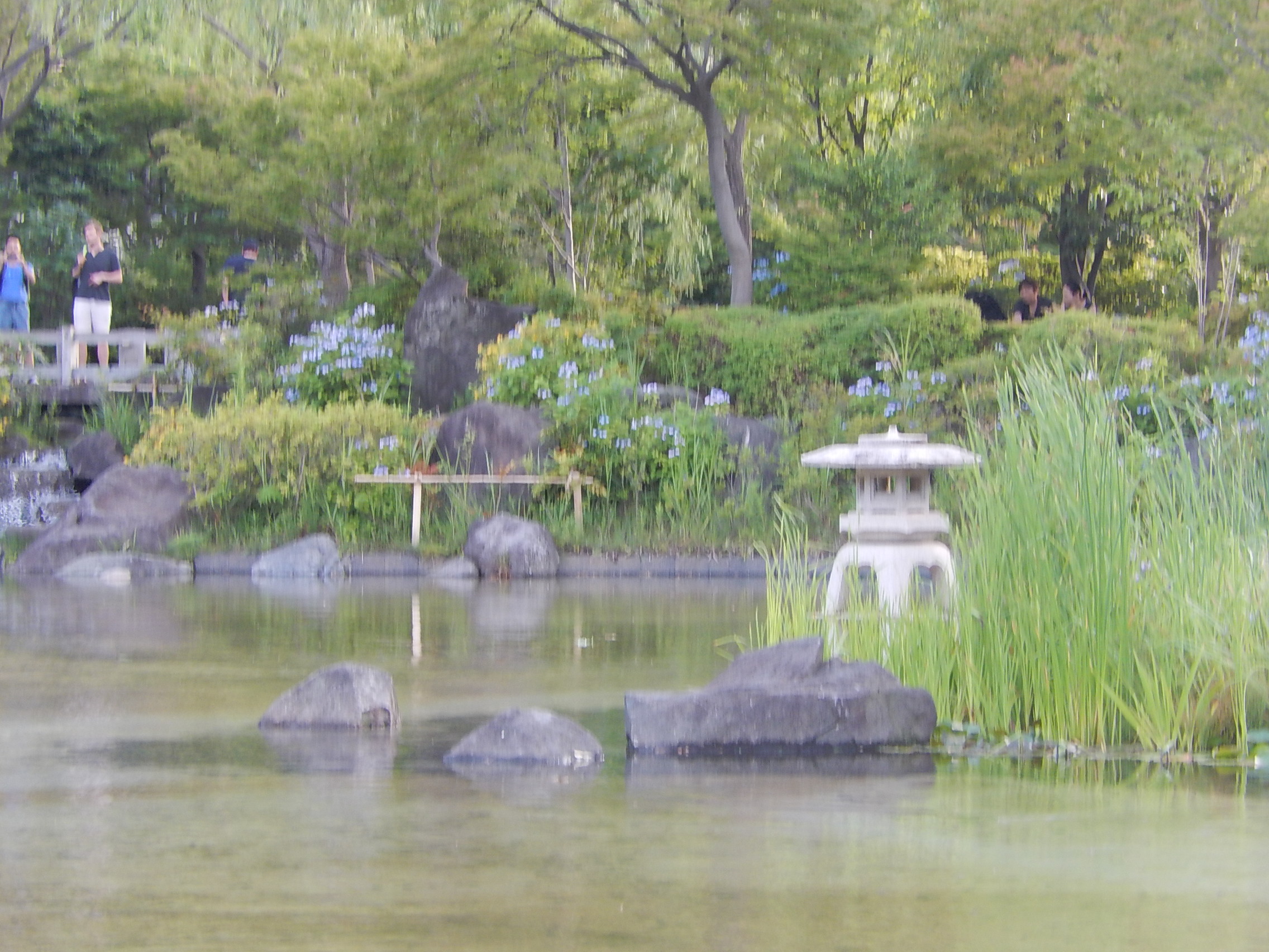 大都会のオアシス