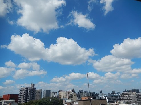 夏空を見上げよう