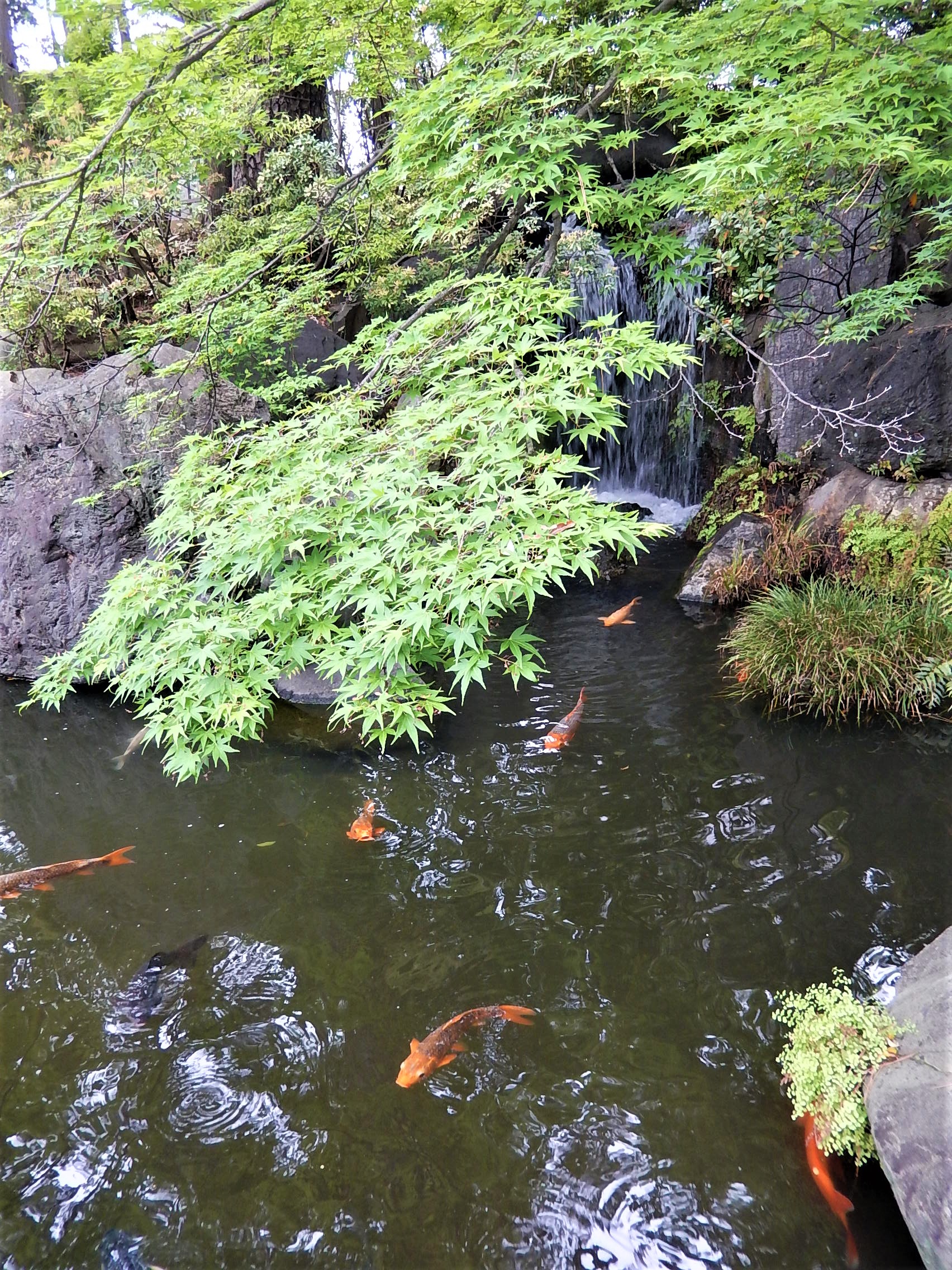 夏季休暇のお知らせ