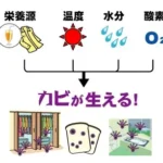 カビ対策